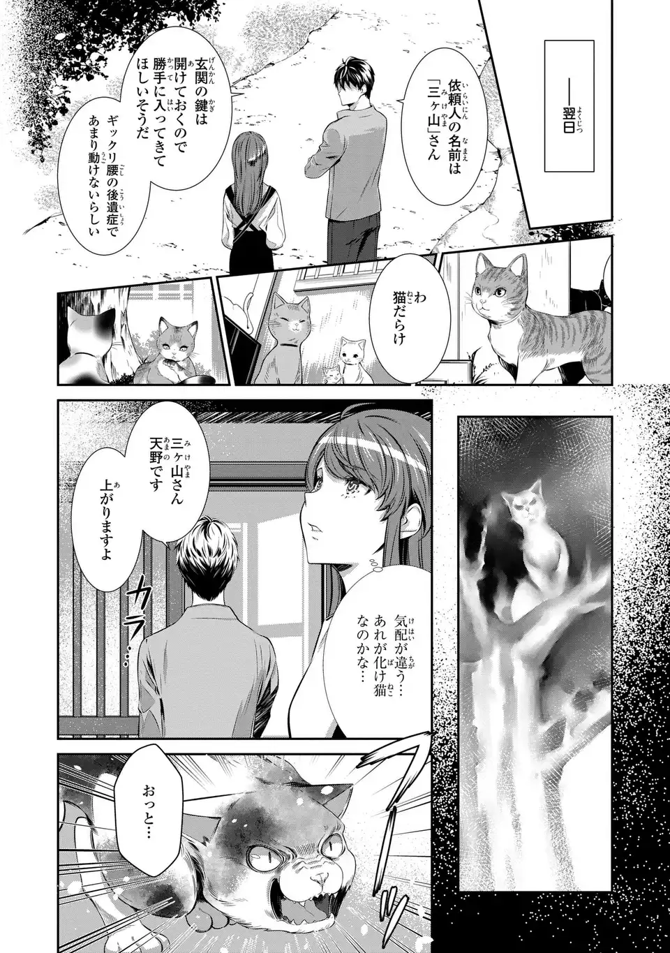 Usotsuki Fuufu no Ayakashi Konin Jijou - Danna-sama wa Saikyou no Amanojaku!? - Chapter 3 - Page 22