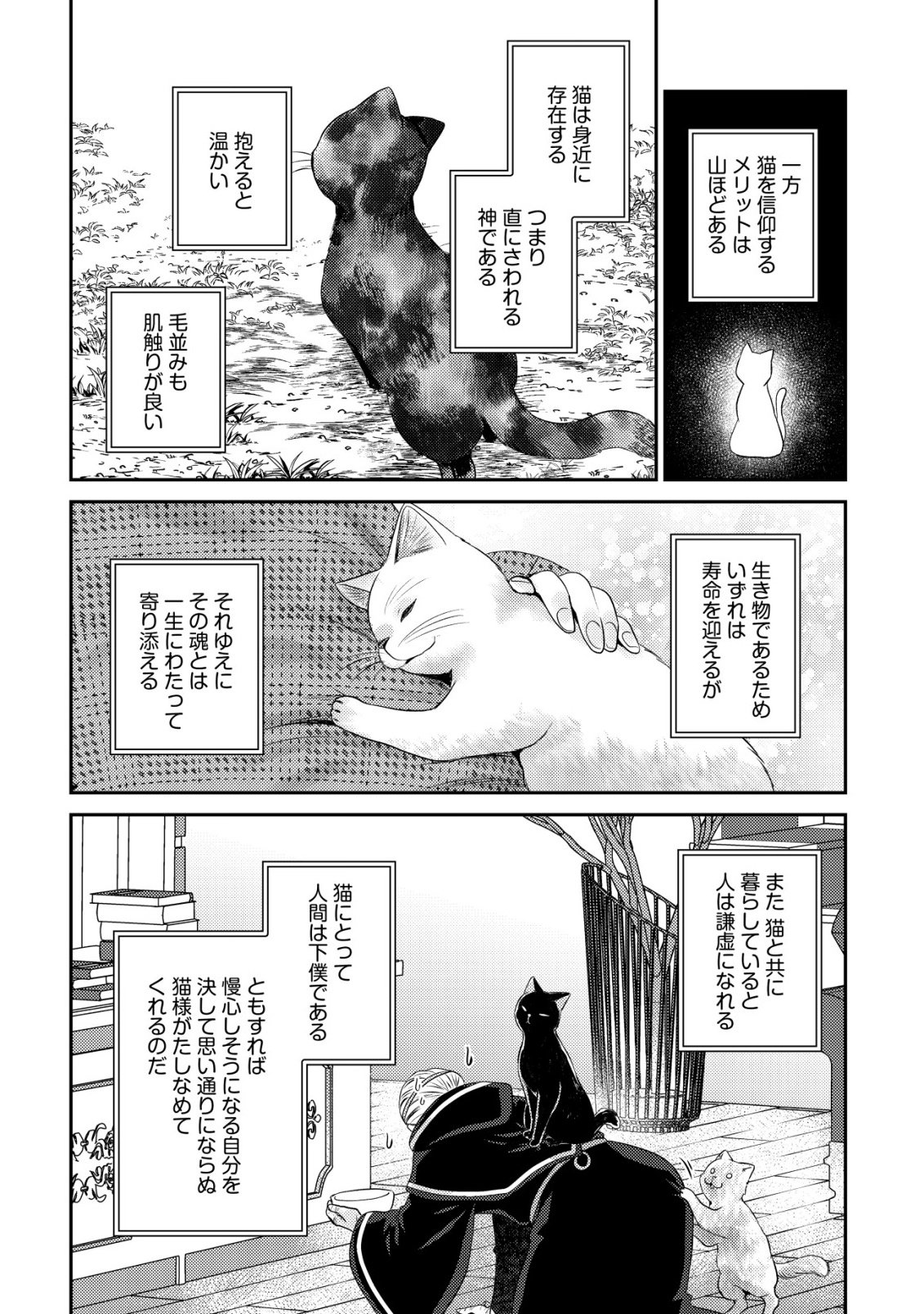 Wagahai wa Nekoma Doushi de aru - Chapter 29 - Page 6