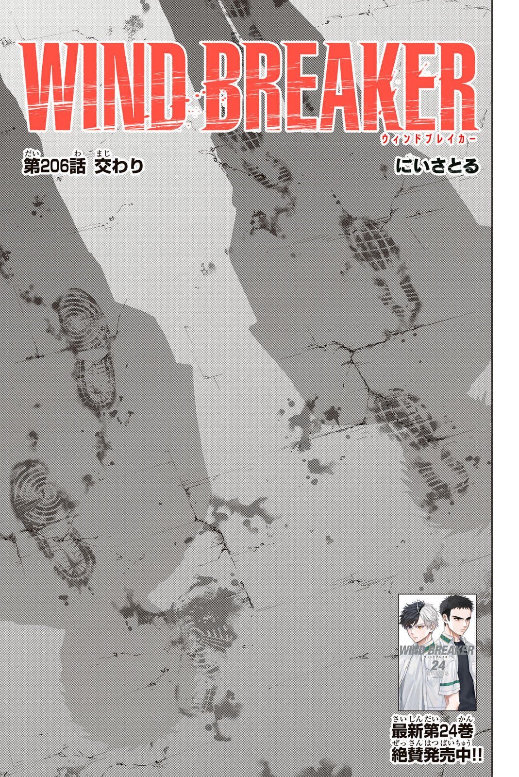 Wind Breaker (NII Satoru) - Chapter 206 - Page 1