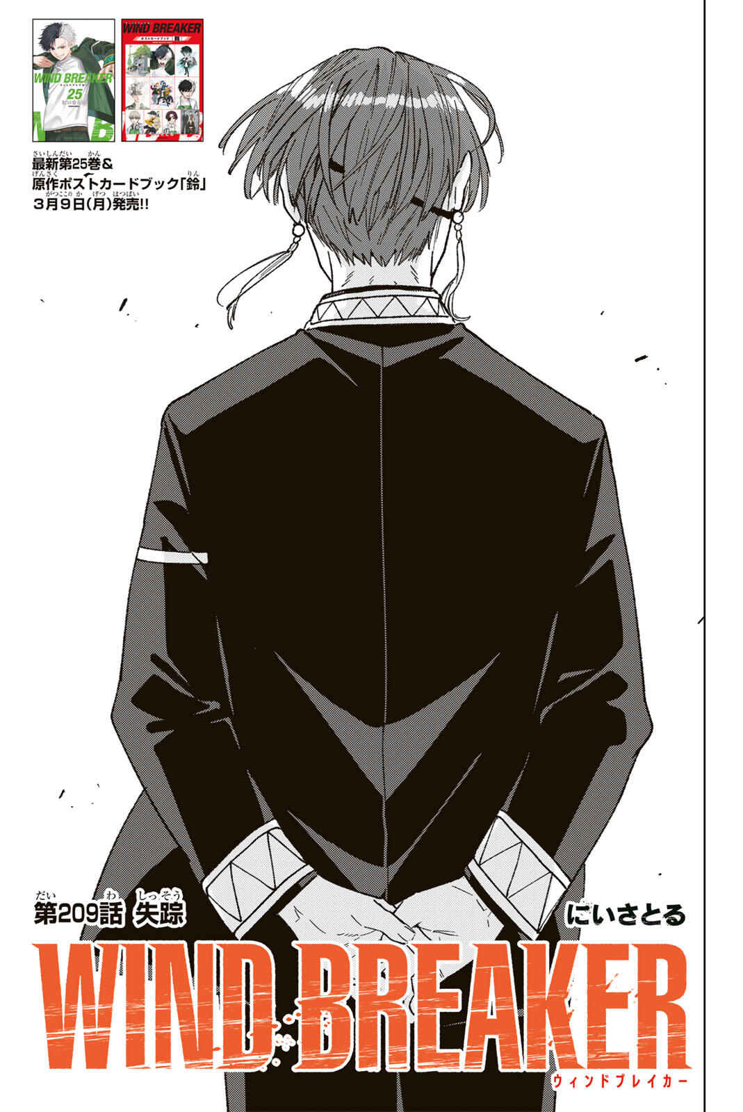 Wind Breaker (NII Satoru) - Chapter 209 - Page 3