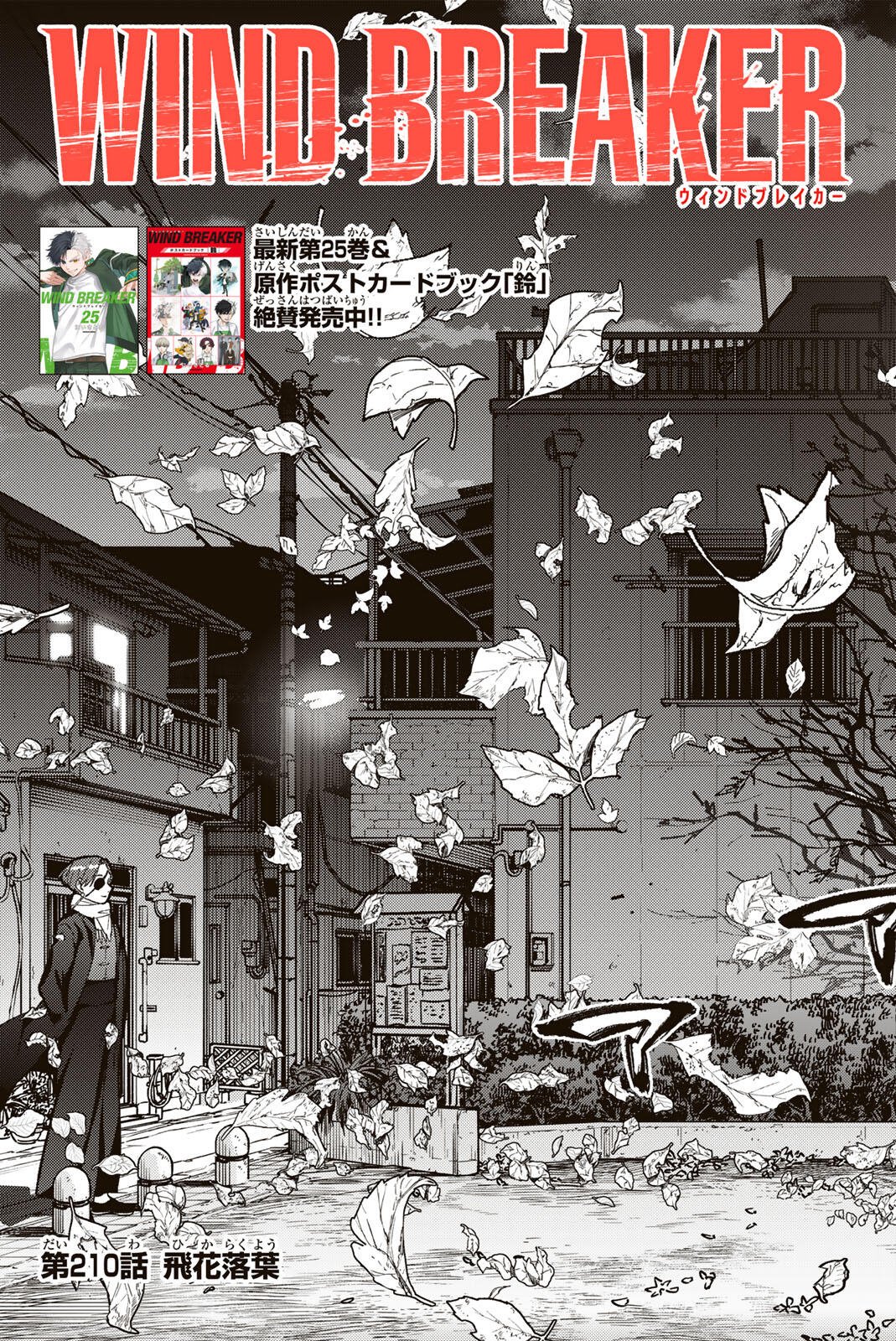 Wind Breaker (NII Satoru) - Chapter 210 - Page 3