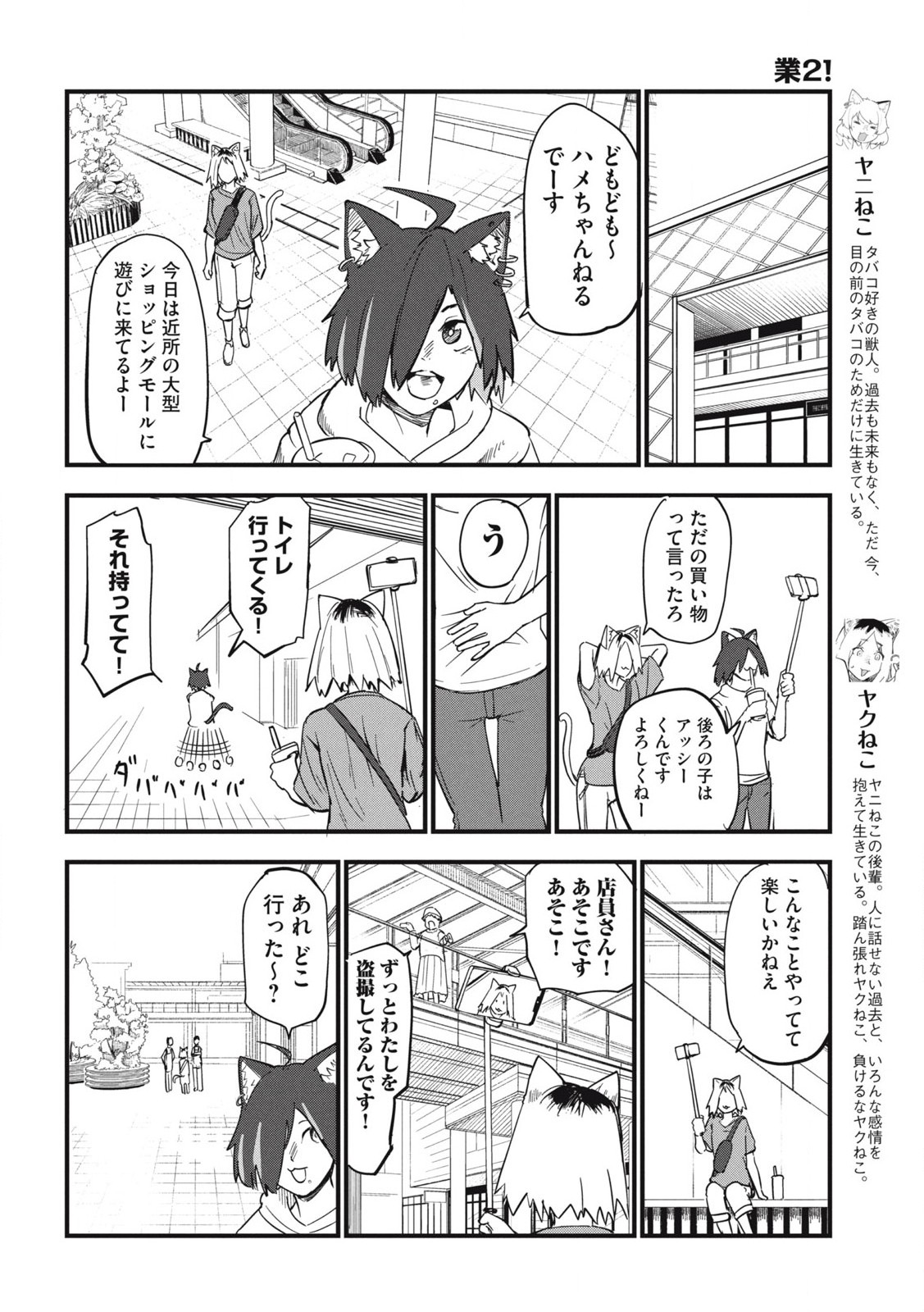 ヤニねこ Chap 144 - Next Chap 145
