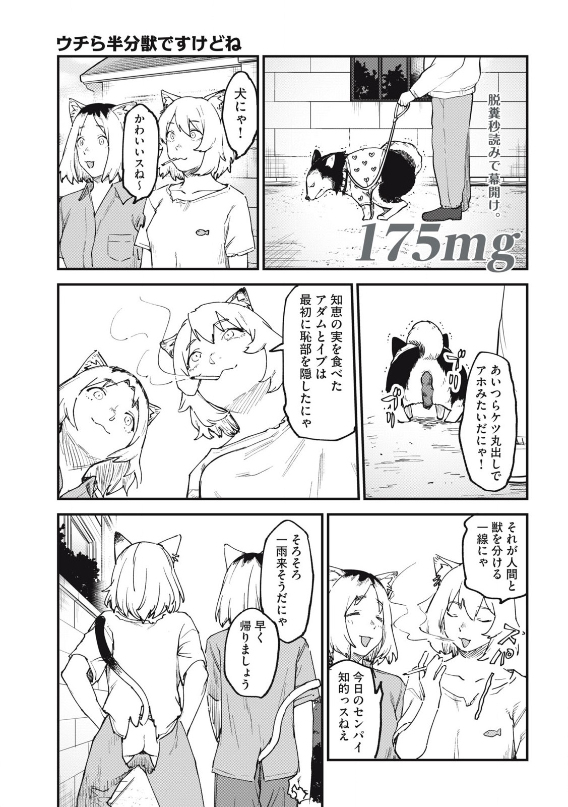 ヤニねこ Chap 175 - Next Chap 176