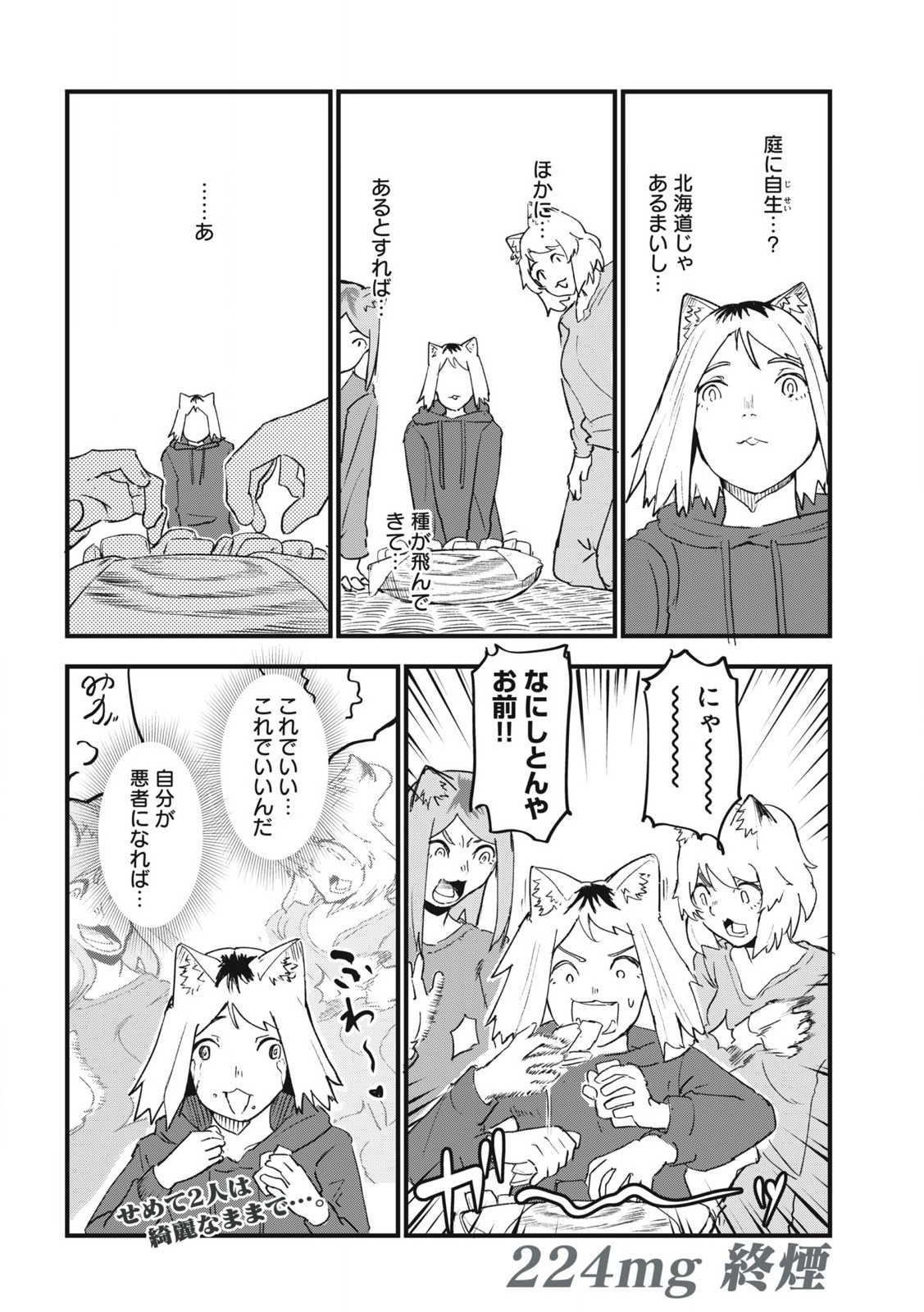 ヤニねこ Chap 224 - Next Chap 225