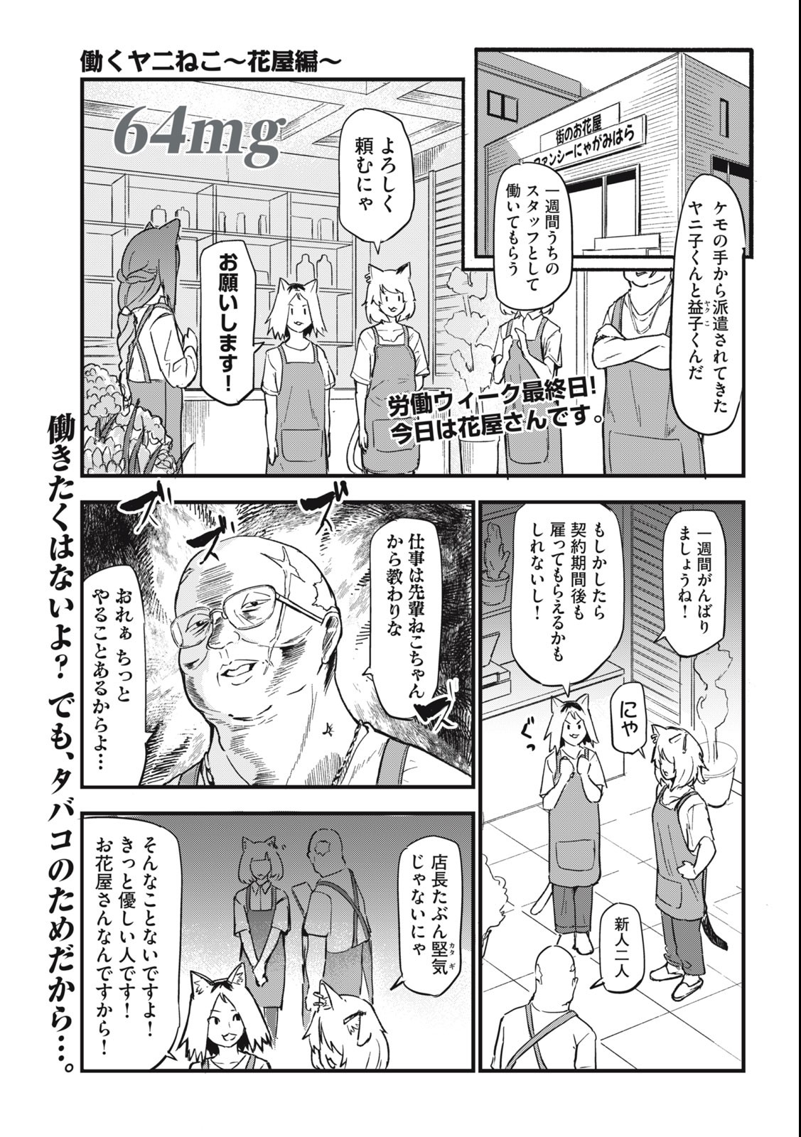 ヤニねこ Chap 64 - Next Chap 65