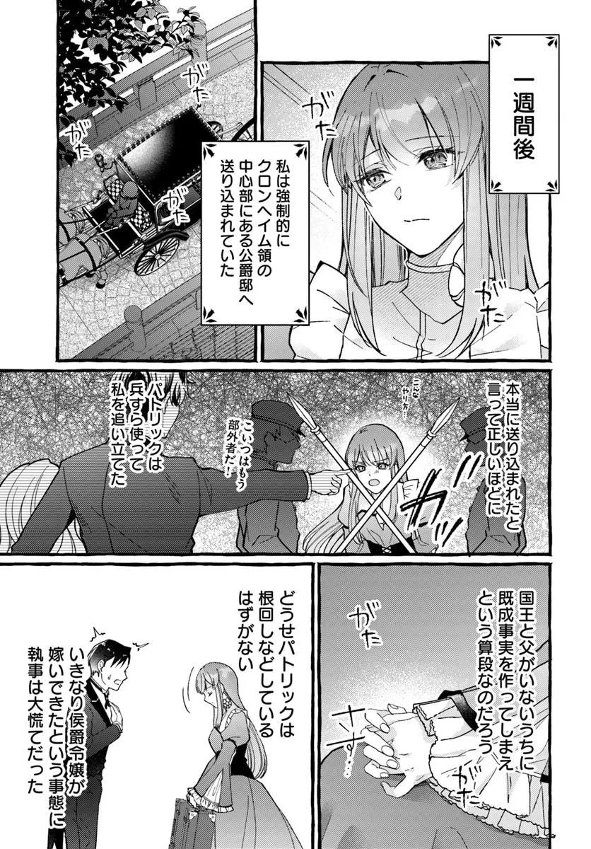 Yome ga sareta Saki wa Shirobuta Koushaku no hazu desu ga? - Chapter 1 - Page 13