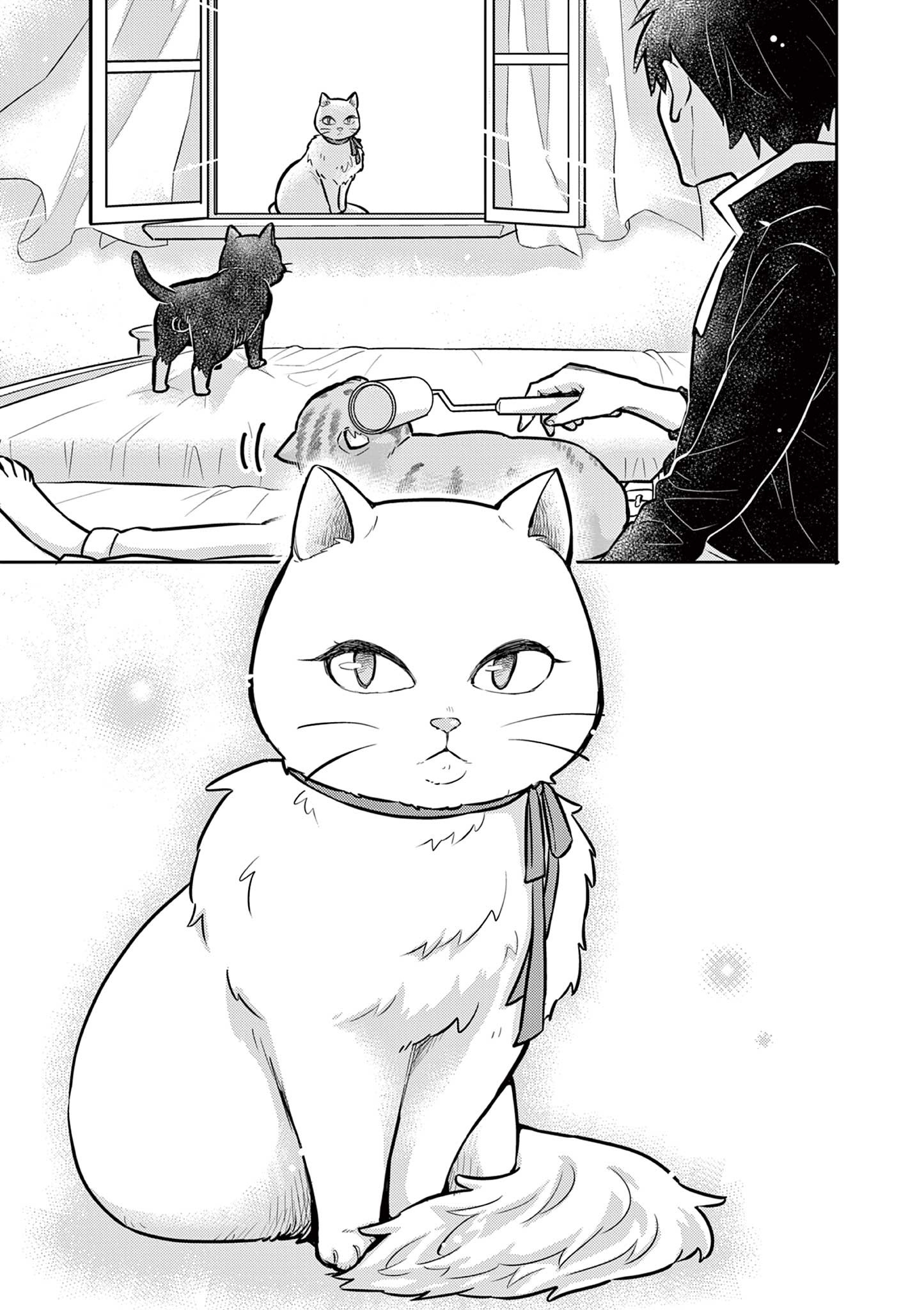 Yuusha no Hiza ni wa Neko ga Iru - Chapter 15 - Page 7