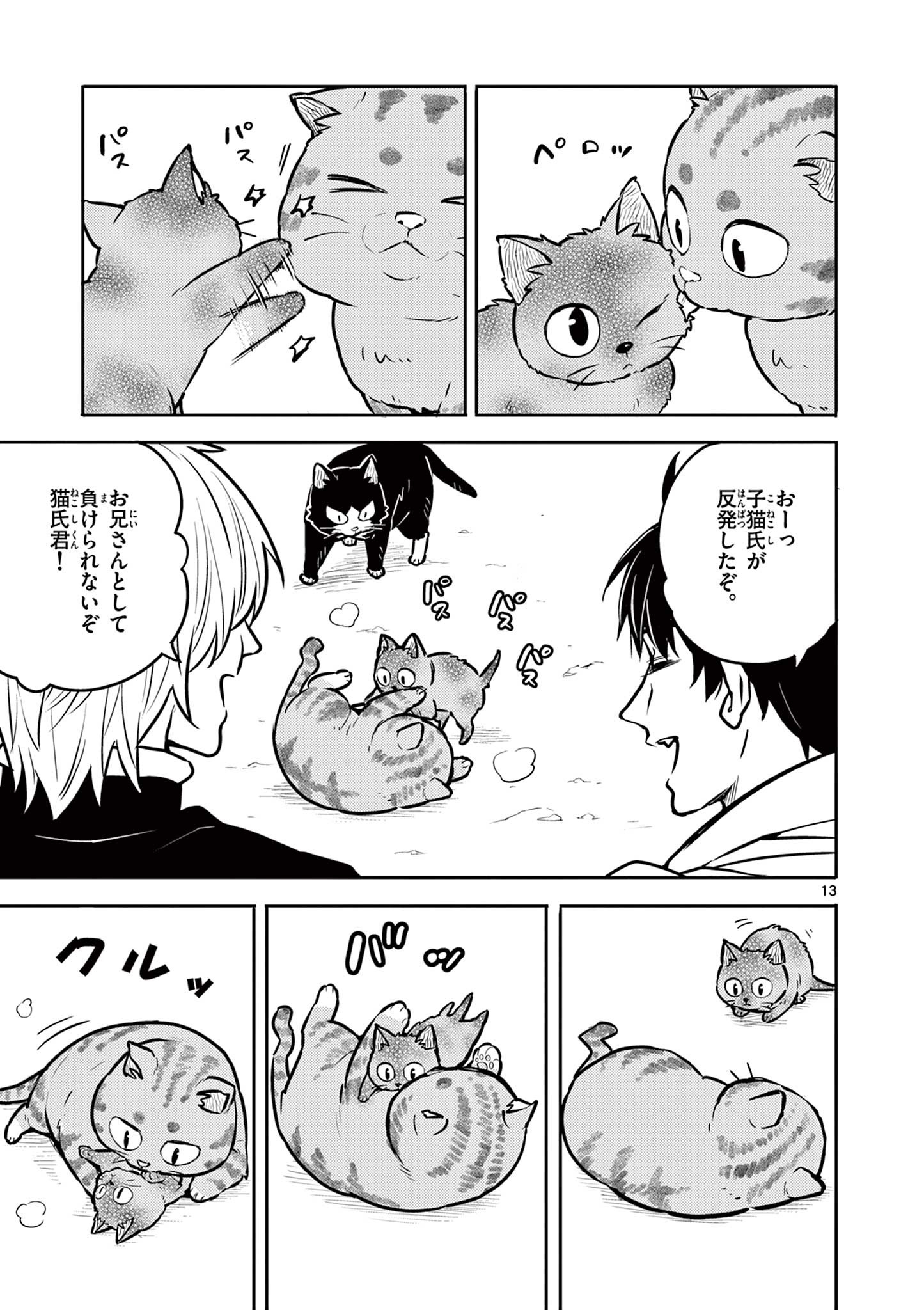 Yuusha no Hiza ni wa Neko ga Iru - Chapter 19 - Page 13