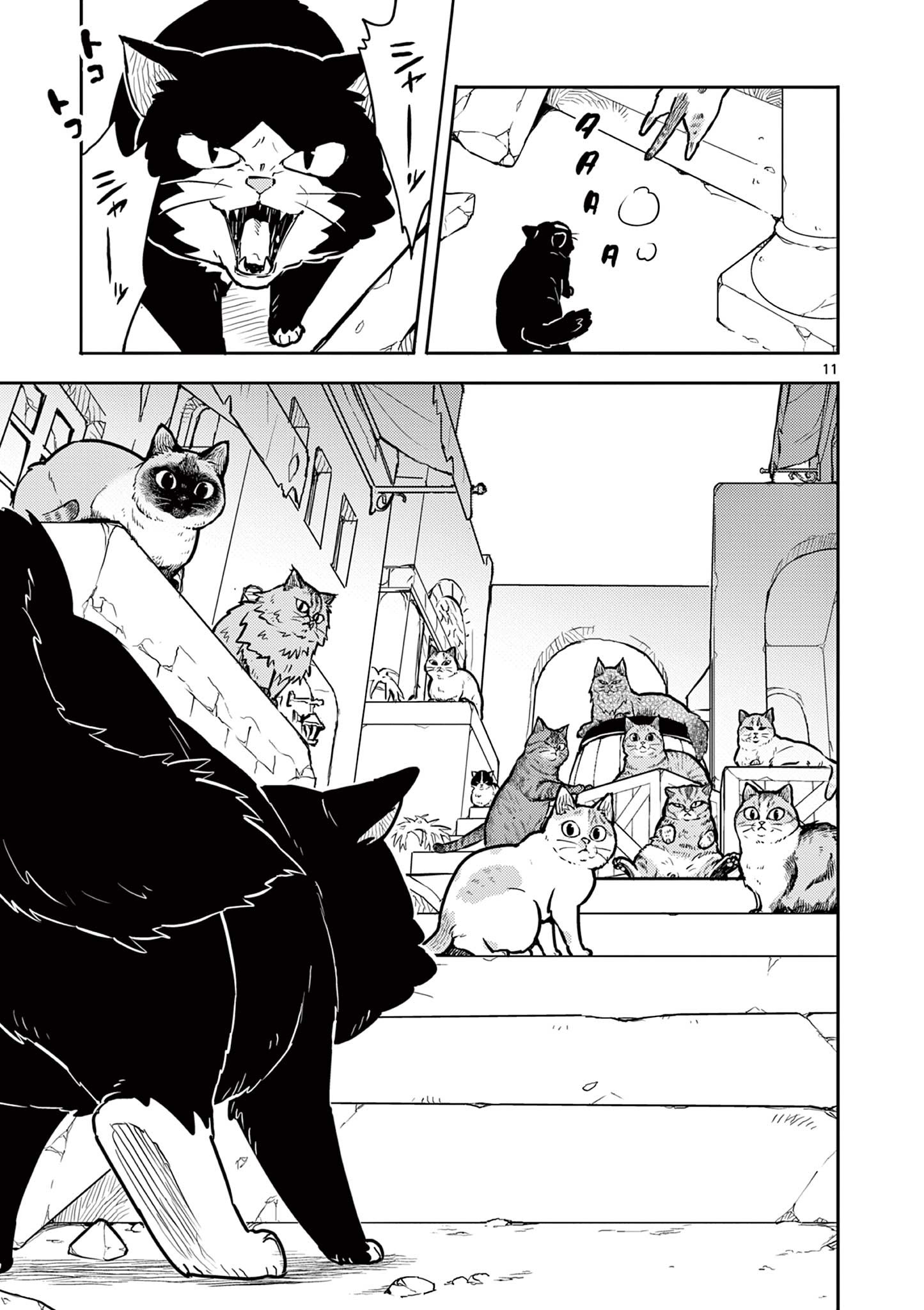 Yuusha no Hiza ni wa Neko ga Iru - Chapter 25 - Page 11