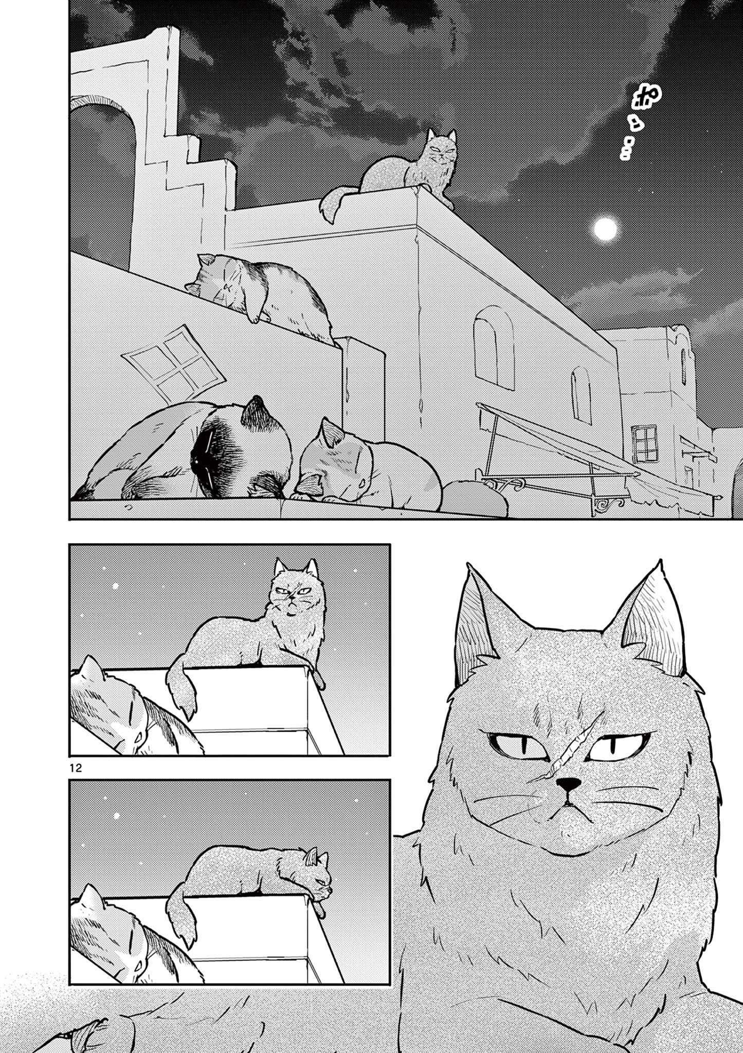 Yuusha no Hiza ni wa Neko ga Iru - Chapter 26 - Page 12