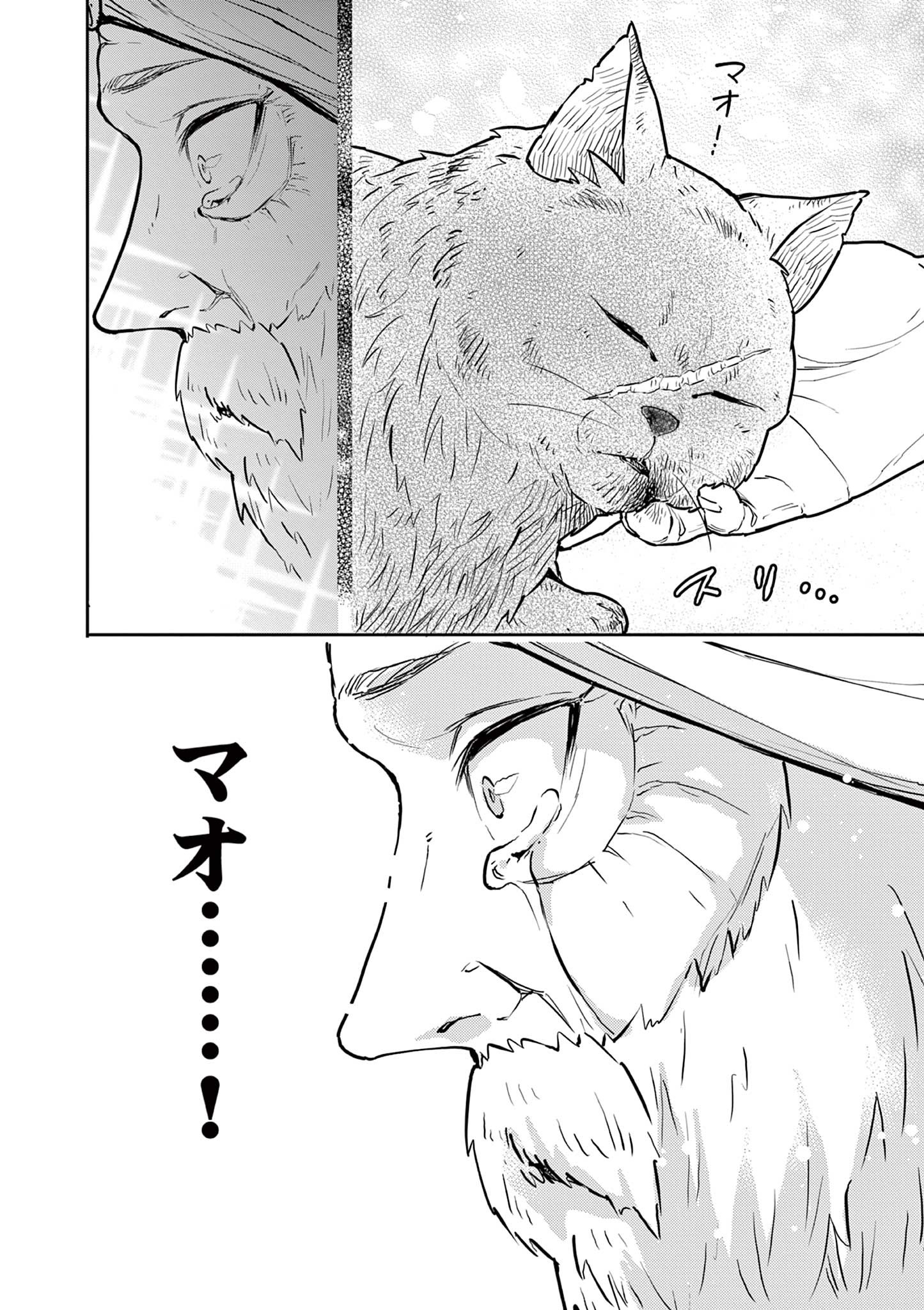 Yuusha no Hiza ni wa Neko ga Iru - Chapter 27 - Page 10