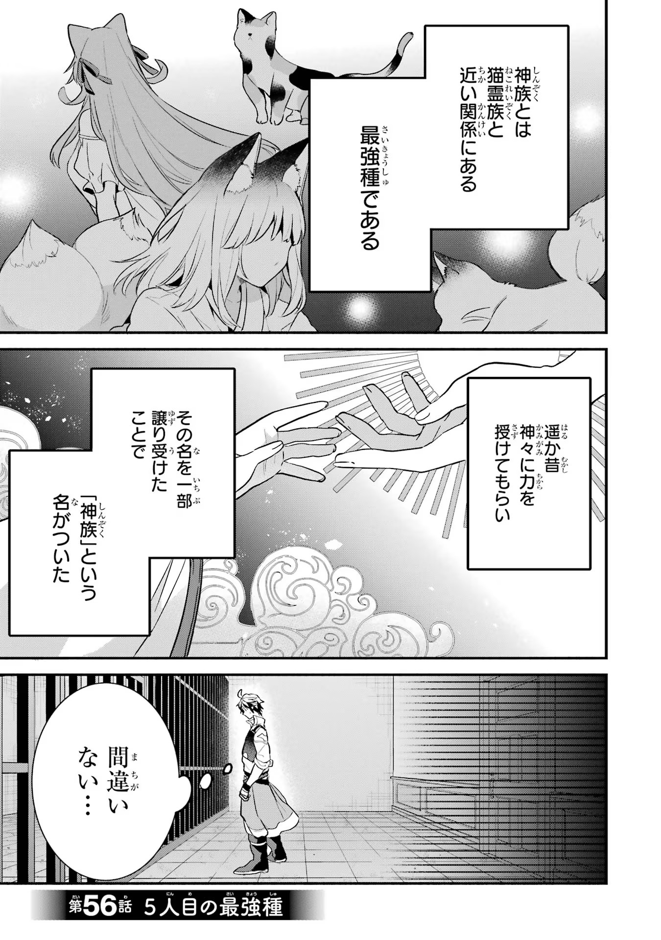 Yuusha Party o Tsuihou Sareta Beast Tamer, Saikyoushu Nekomimi Shoujo to Deau - Chapter 56 - Page 3