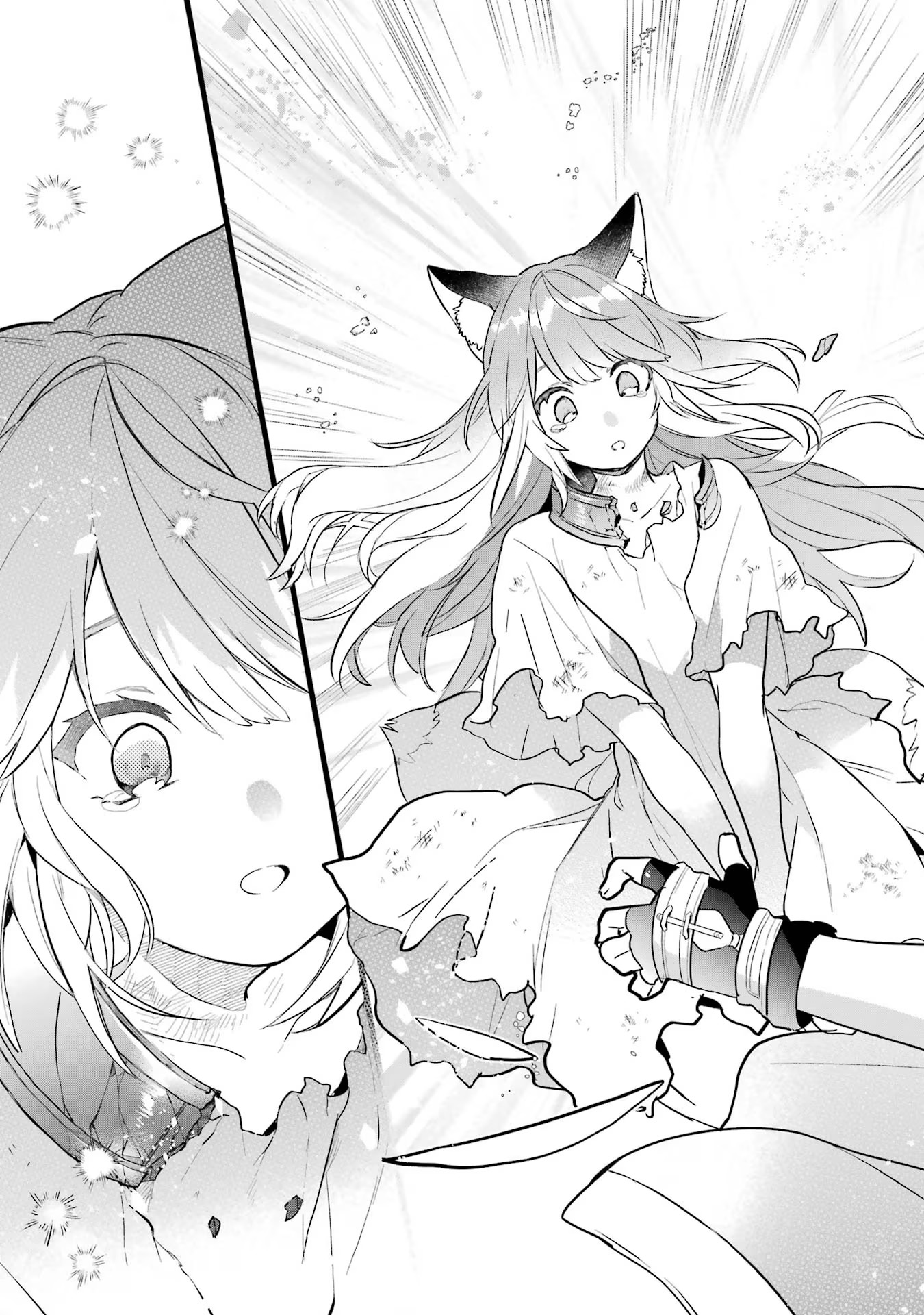 Yuusha Party o Tsuihou Sareta Beast Tamer, Saikyoushu Nekomimi Shoujo to Deau - Chapter 57 - Page 13