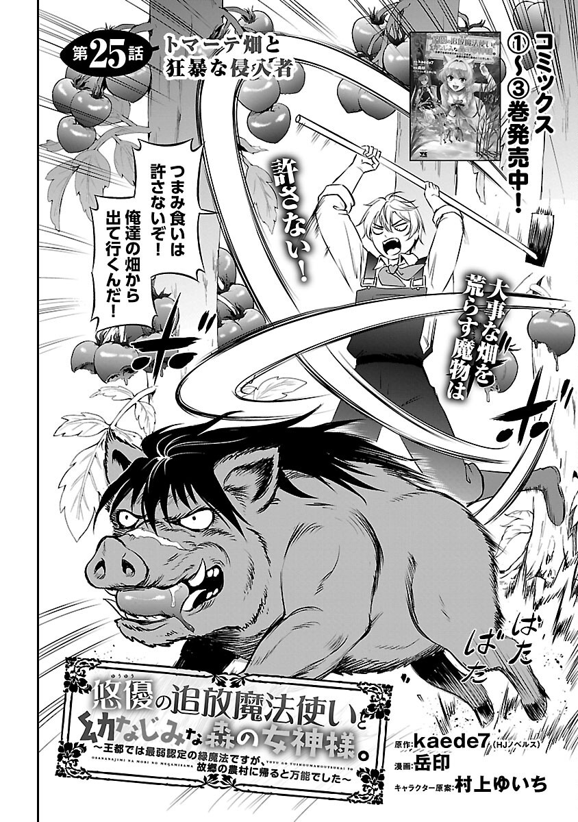 Yuuyuu No Tsuihou Mahou Tsukai To Osananajimi Na Mori No Megami-sama. - Chapter 25 - Page 4