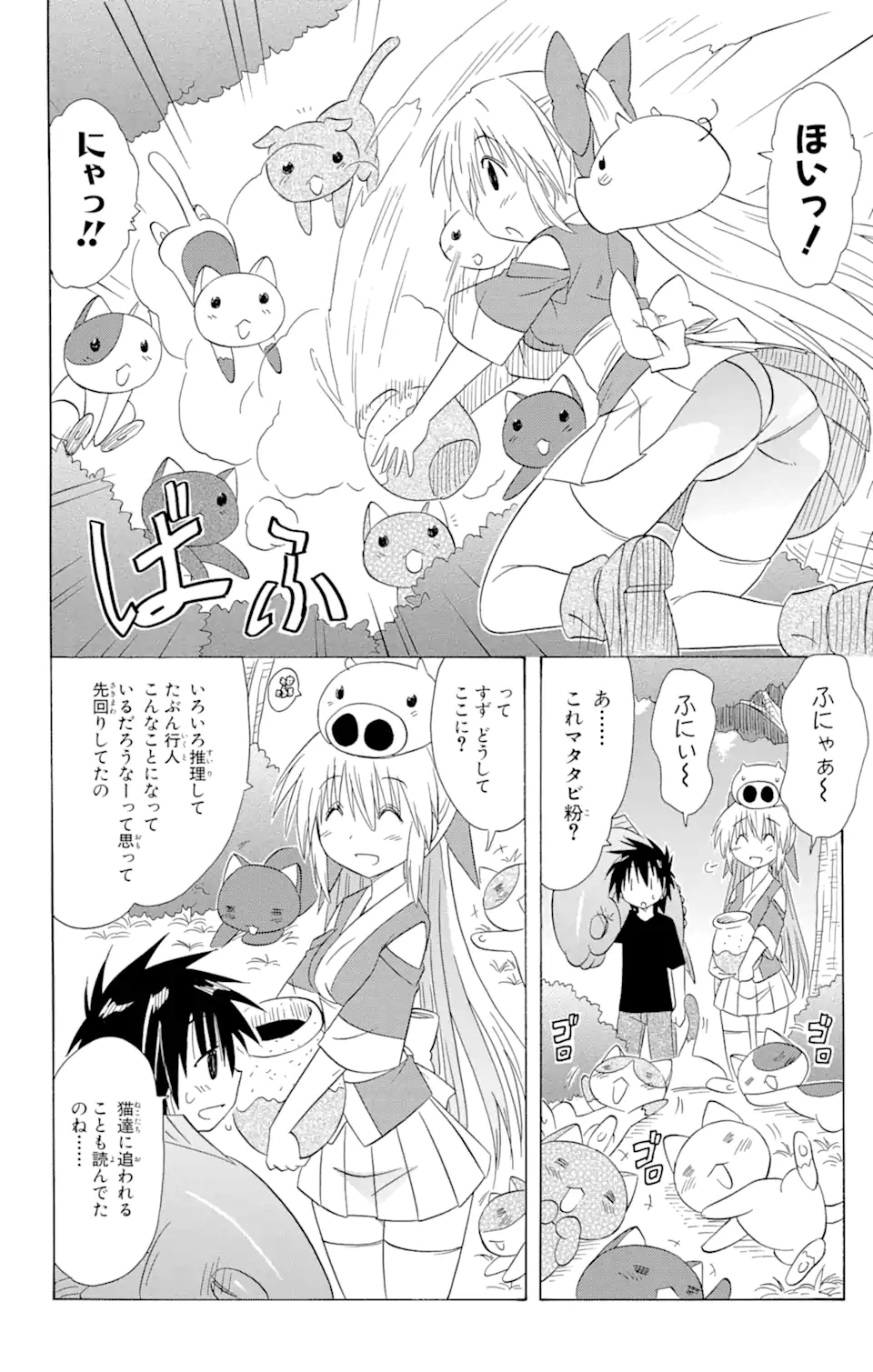 ながされて藍蘭島 Chap 137 - Next Chap 138