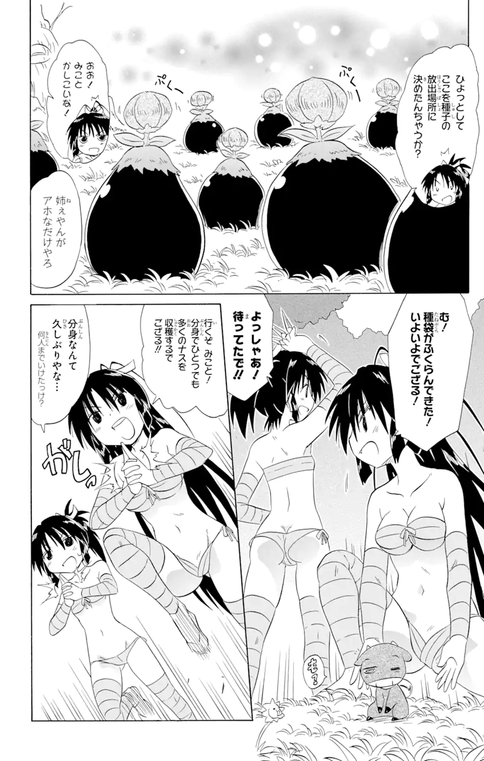 ながされて藍蘭島 Chap 163 - Next Chap 164