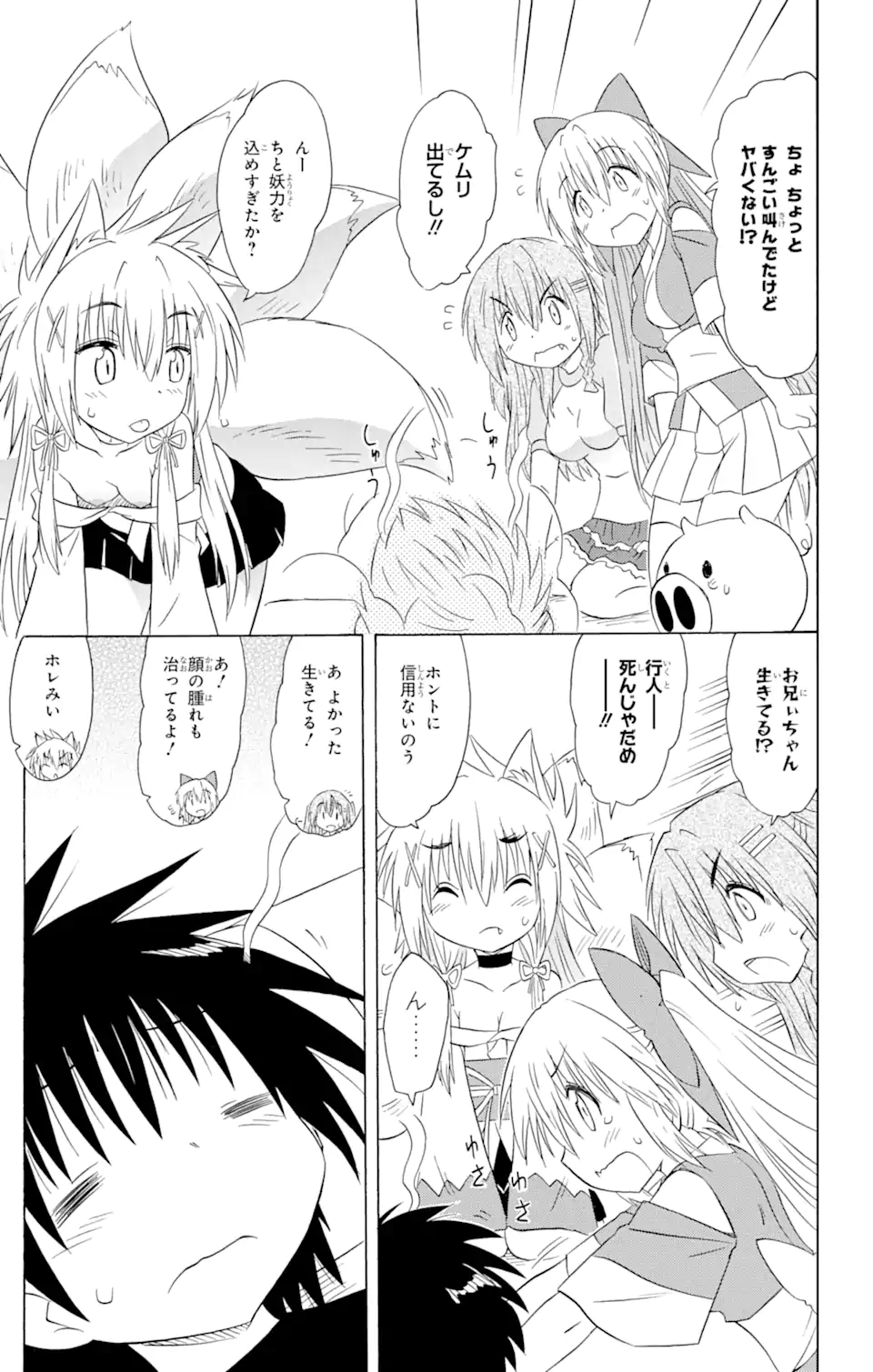 ながされて藍蘭島 Chap 176 - Next Chap 177