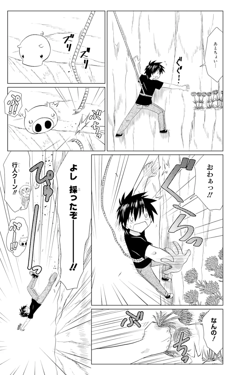 ながされて藍蘭島 Chap 220 - Next Chap 221