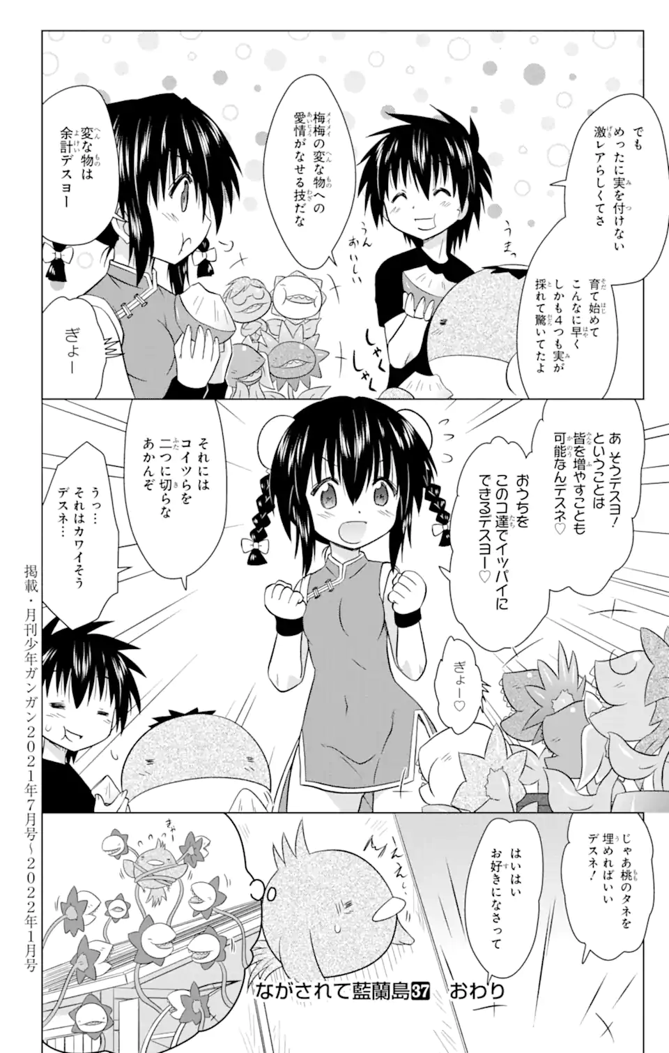 ながされて藍蘭島 Chap 236 - Next Chap 237