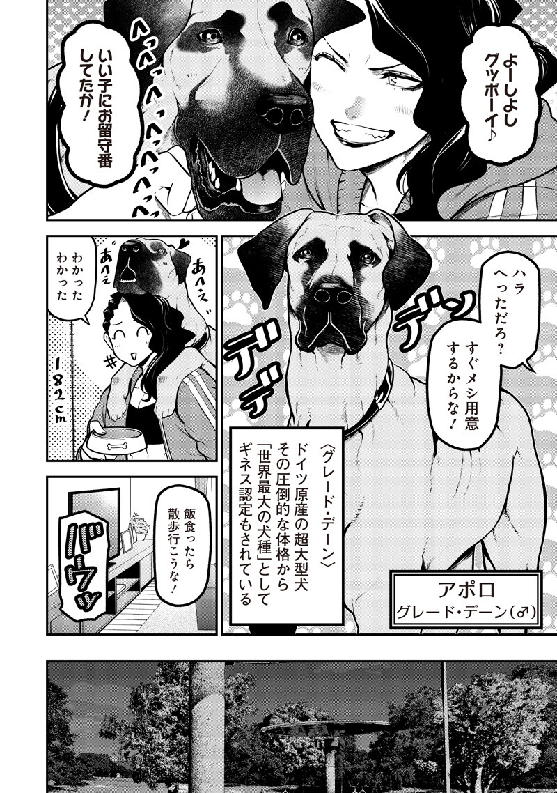 ポン太がヒトになりまして Chap 72 - Next Chap 73