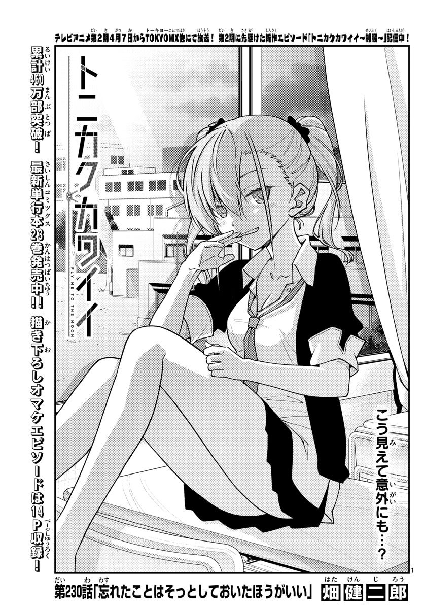 Tonikaku Kawaii Chap 230 - Next Chap 231